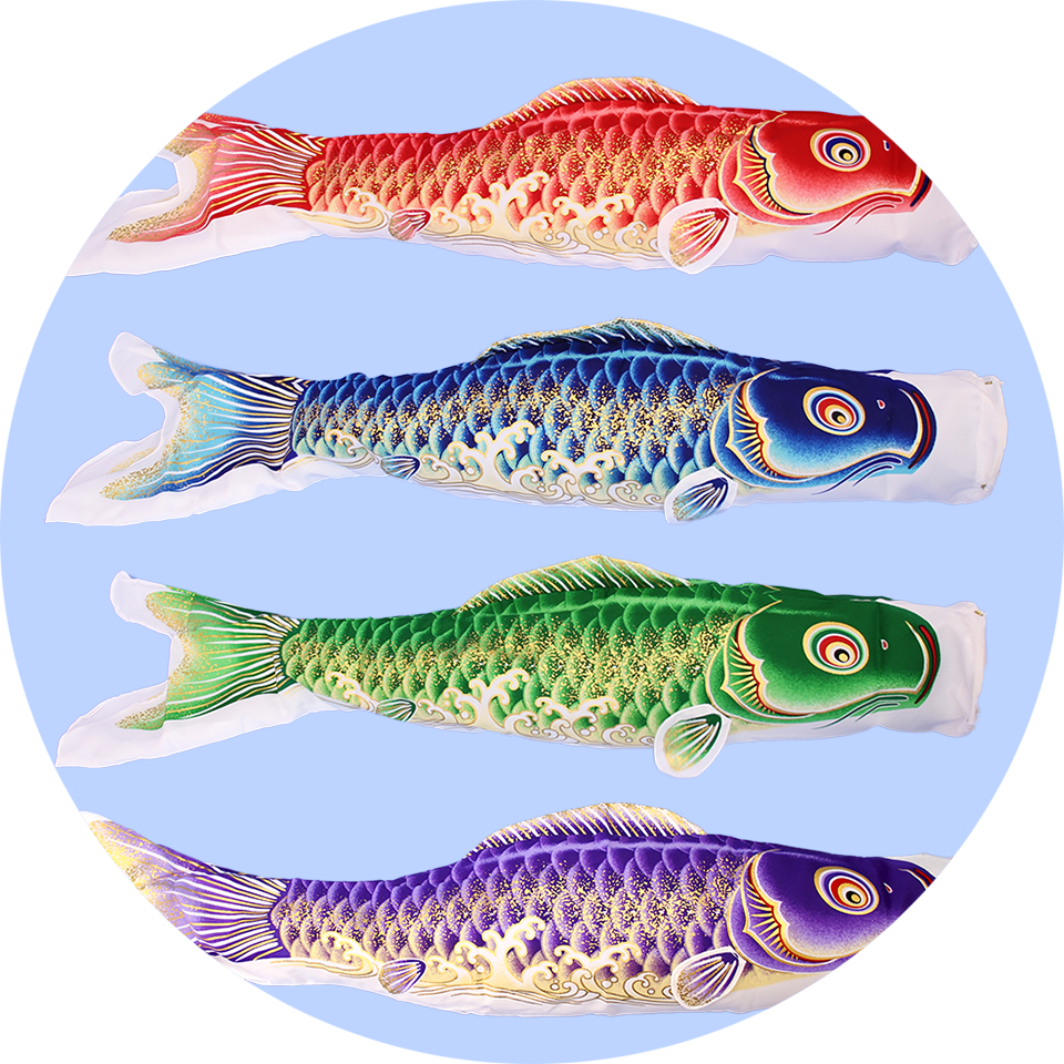 koi-tanpin.png?v=1722497415
