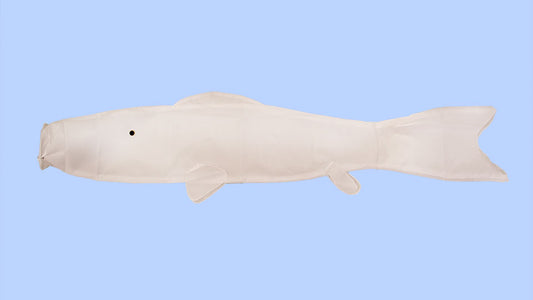 イベント用白地鯉のぼり 無地鯉 1.5m イメージ