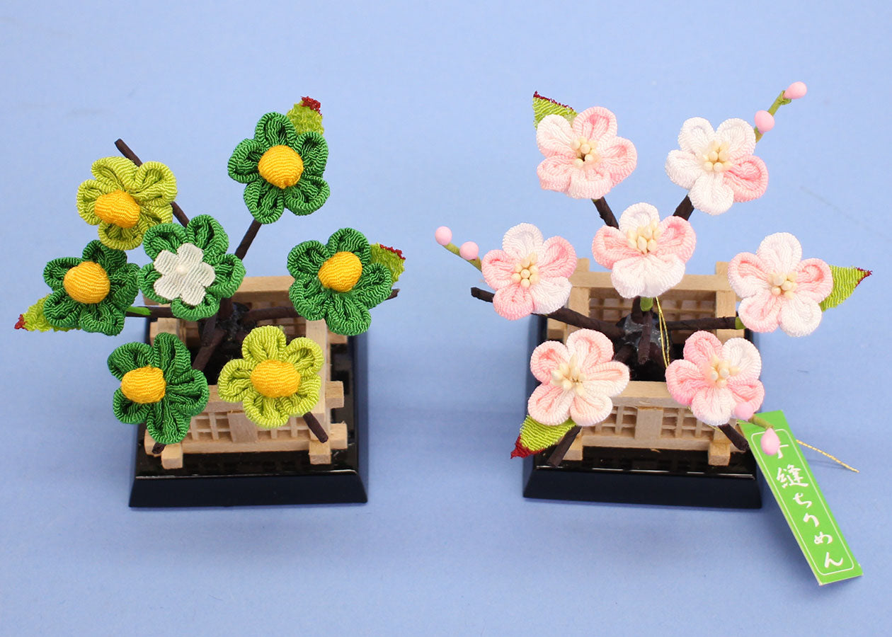 Sakura-tachibana for Hina dolls, height 8cm, size 10, Yui (crepe Sakura-tachibana)