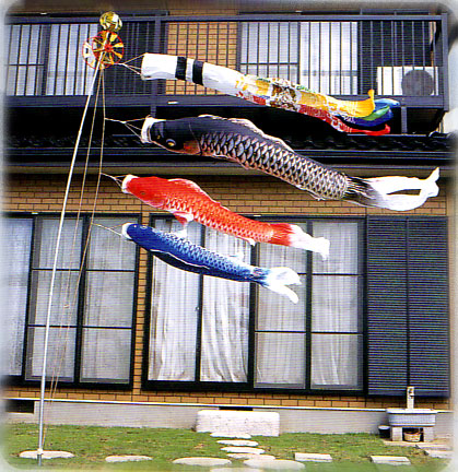 鯉のぼり用太パイプ2m鯉のぼりセット用ポール 鯉のぼり掲揚イメージ