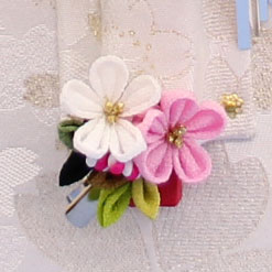 壁掛け飾り ミニ摘みクリップ