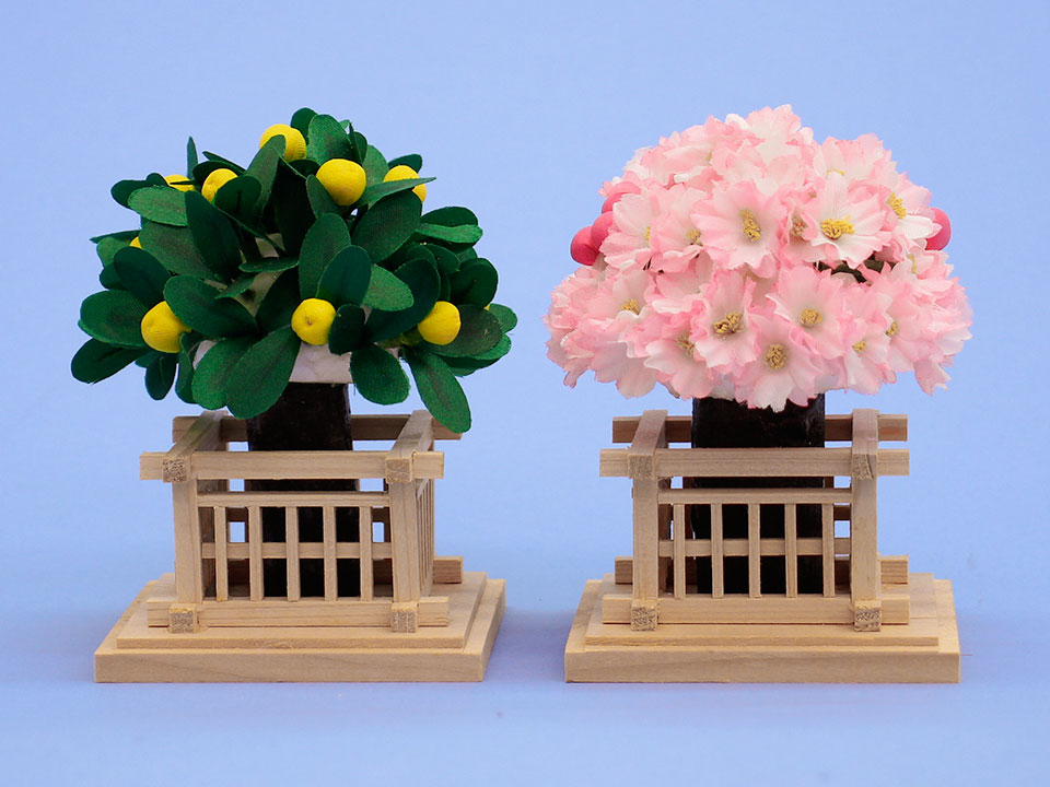 桜橘 高さ11cm6号夢丸(アウトレット品)