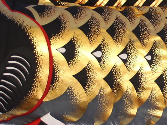 鯉のぼり 江戸 ズーム