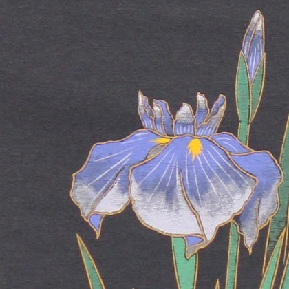 modern 掛け軸 菖蒲 奥田久志