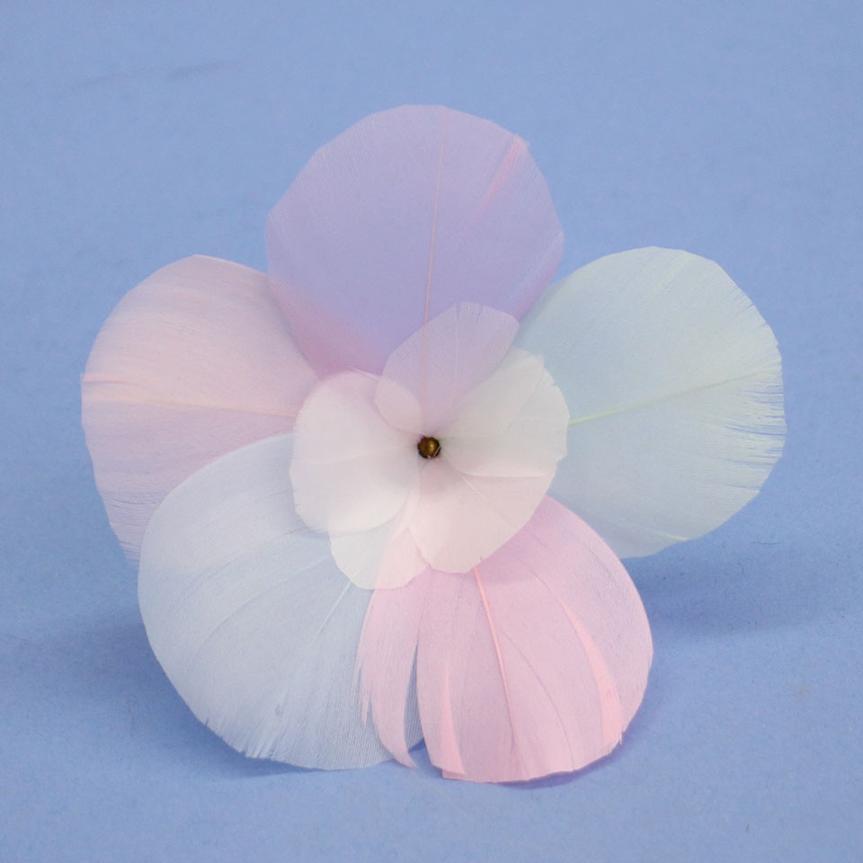 Plume de vigne de Saponaria pastel (petite)