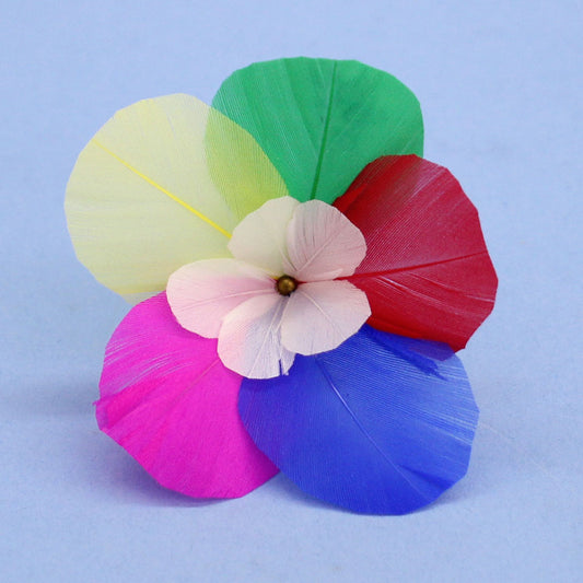 Aile de base de Saponaria officinalis (grande)