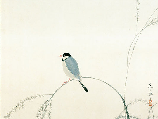 名画複製画 文鳥 速水御舟