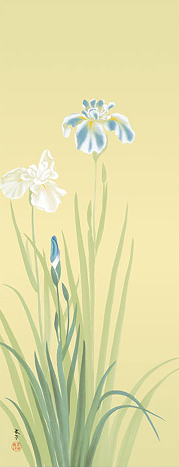 著名画作复制挂轴 菱田春草《花菖蒲》