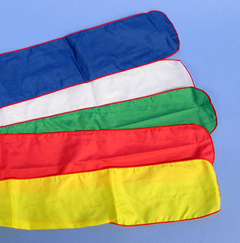 五色吹き流し アミック ズーム