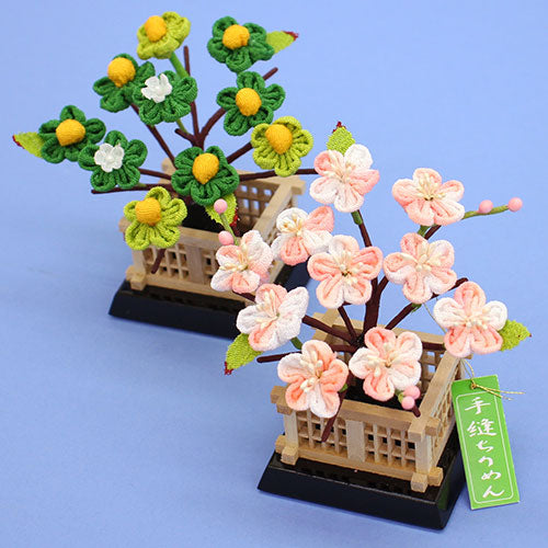 雏人偶用橘色樱花,高度10厘米,尺码15,结(绉布橘色樱花)