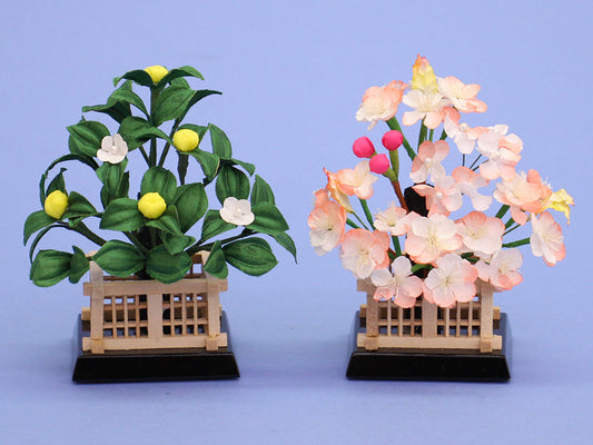 雛人形用桜橘 高さ10.5cm15号麗