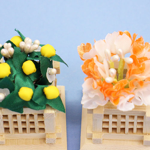 桜橘 高さ 5,5cm彩ミニ桜橘(白井垣) ズーム