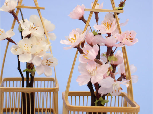 雛人形用桜橘 高さ19cm桂さくらさくら