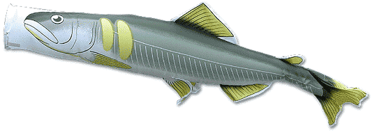 Vente de streamers de carpes pour événements. 1 streamer de sweetfish