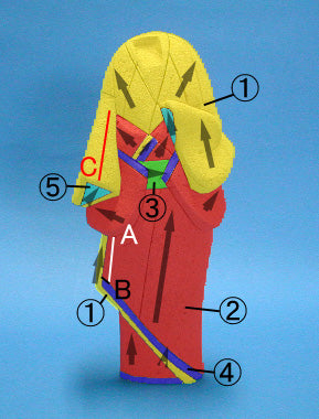 Poupée en kimekomi n° 137 Kodai-bue
