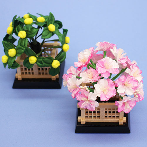 Sakura-tachibana pour poupées Hina, hauteur 9,0 cm, n° 15 Maruyama
