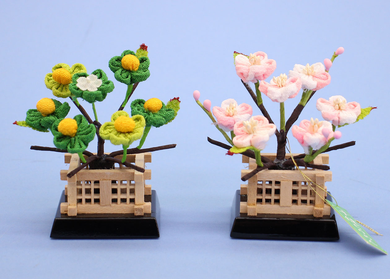 桜橘 高さ 8cm10号結衣(縮緬桜橘)