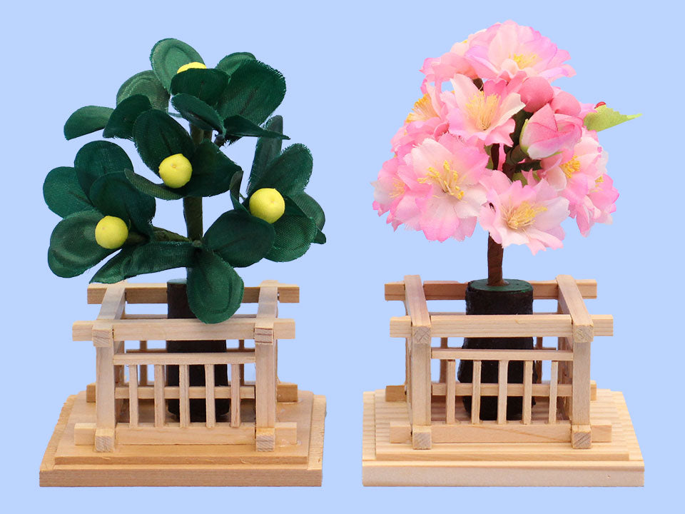 桜橘 高さ12cm桜橘 1号香(アウトレット品)