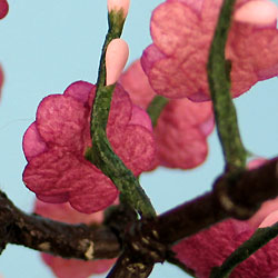 雛人形用紅白梅 高さ16cm 繭玉紅白梅(小)