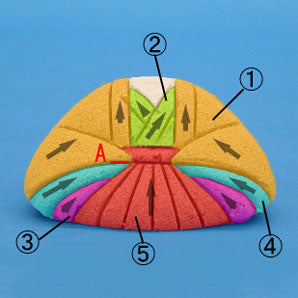 木目込み雛人形材料 No174 豆親王 – 寿鳳人形の東芸