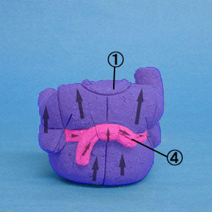 Kimekomi doll material No.467 Ozora