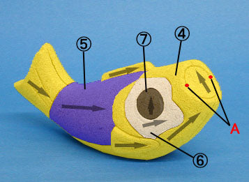 Matériau de poupée kimekomi n° 481 Nozomi