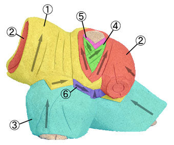 Matériau de poupée kimekomi n° 796 Épée de réussite