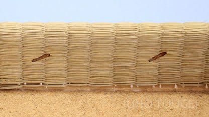 ひな人形 付属品道具 幅27㎝ 小十番 イ草畳親王台 (難あり品)