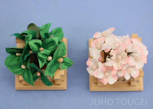 高さ5㎝ミニ桜橘　上から