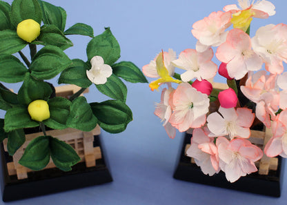 雛人形用桜橘 高さ 9.0cm 10号麗