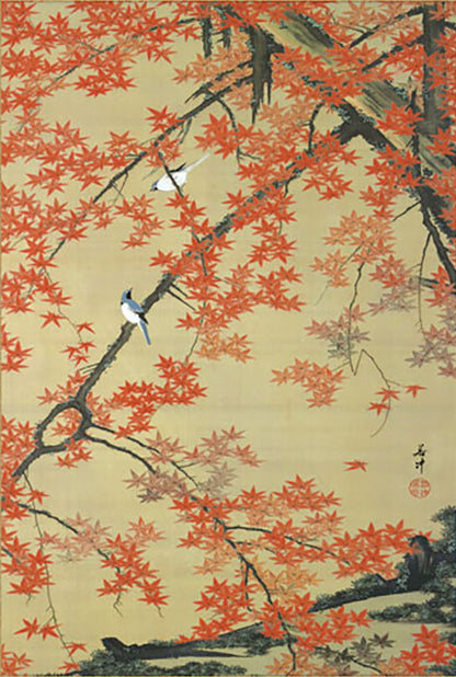Ito Jakuchu « Érable et Oiseau » - Mini Kakemono | Reproduction d'Art