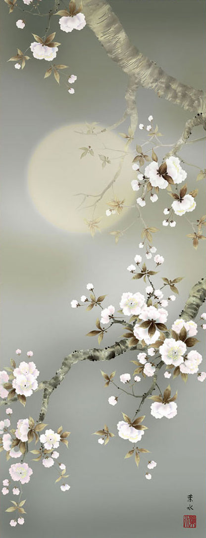 花鸟画挂轴：尾形蓮绘制的夜樱