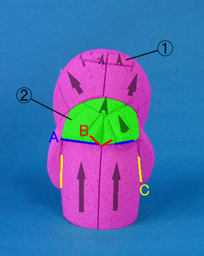 Matériau de poupée kimekomi n° 188 Tsuzumi