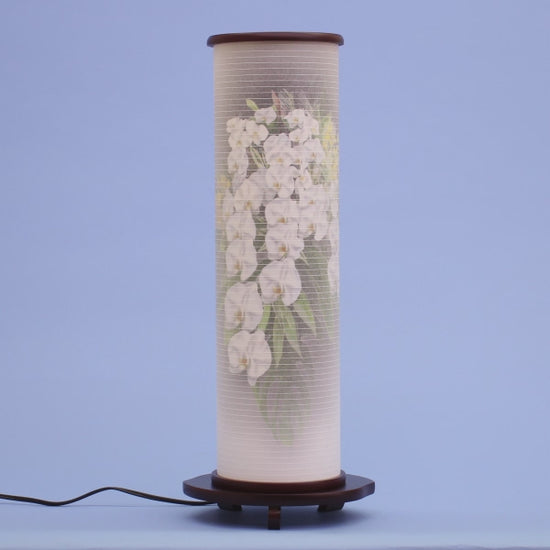 おしゃれな盆提灯 インテリア燈明 彩の舞 ワインレッド (胡蝶蘭)高さ51cm　動画