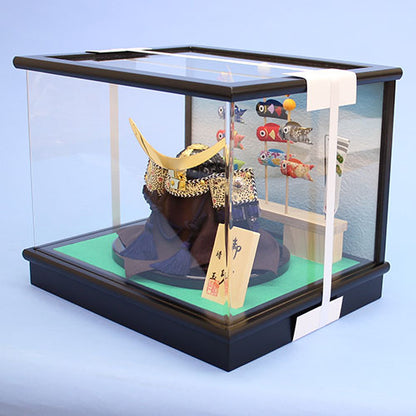 5月人偶兜盔人偶柜装饰 高24cm 元气日期兜盔亚克力盖