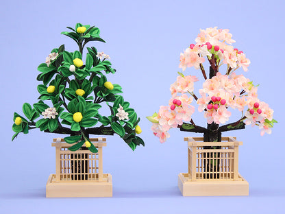 桜橘 高さ31cm8号桜橘(大)