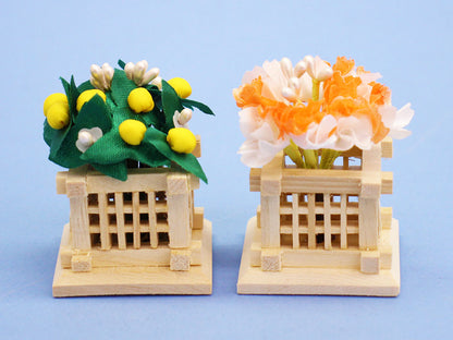 桜橘 高さ 5,5cm彩ミニ桜橘(白井垣)