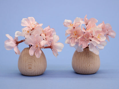 桜橘 高さ 9.0cm大雫さくら