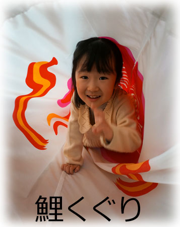 鯉くぐり専用 鯉のぼり イメージ