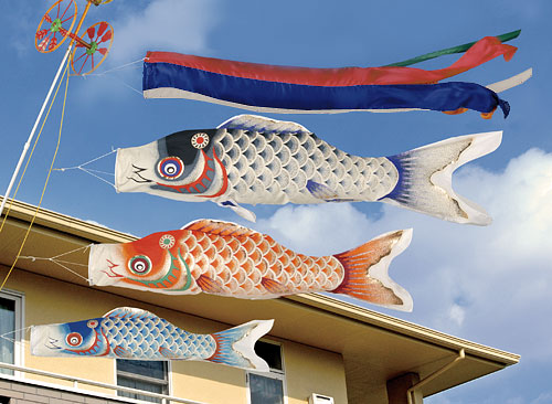 鯉のぼり2.0m 美山錦ホームセット