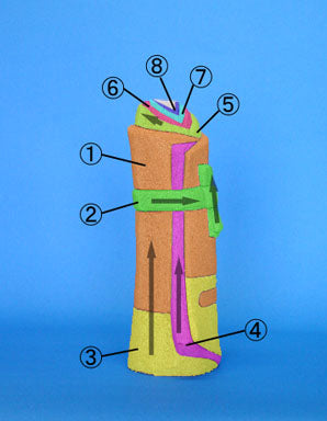 Poupée Hina en bois grainé, matériau n° 714, poupée Hina debout parfumée