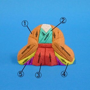 Kimekomi Hina Doll Materials Wakamiya Kanjo