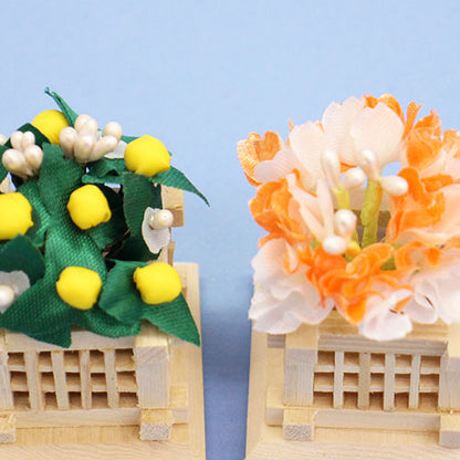 桜橘 高さ 5,5cm彩ミニ桜橘(白井垣)　ズーム