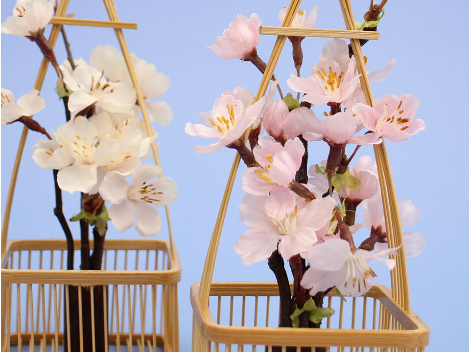 用于雏人偶的樱橘，高度19厘米 桂樱