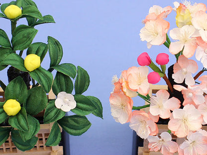 雛人形用桜橘 高さ10.5cm15号麗