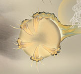 红富士腾龙吉祥挂轴 石田芳園作品